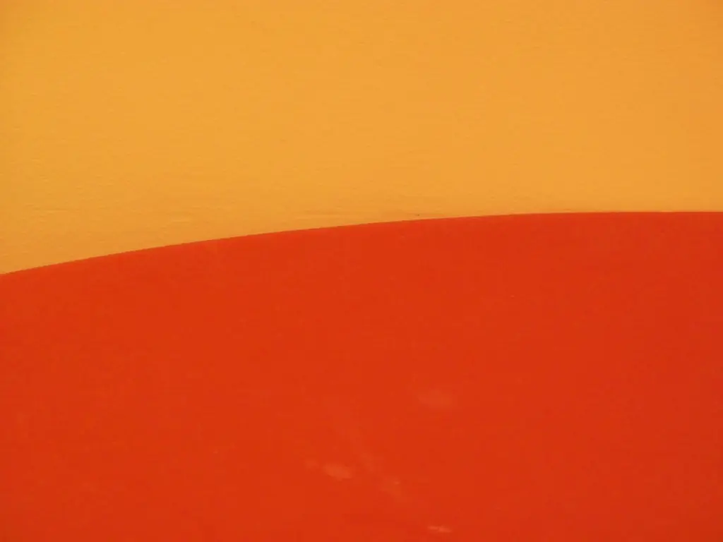 Closeup photo of a surfboard on a wall